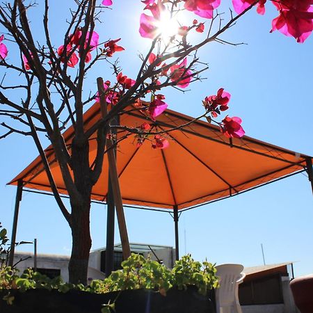 Hotel Oaxaca Magico Ngoại thất bức ảnh