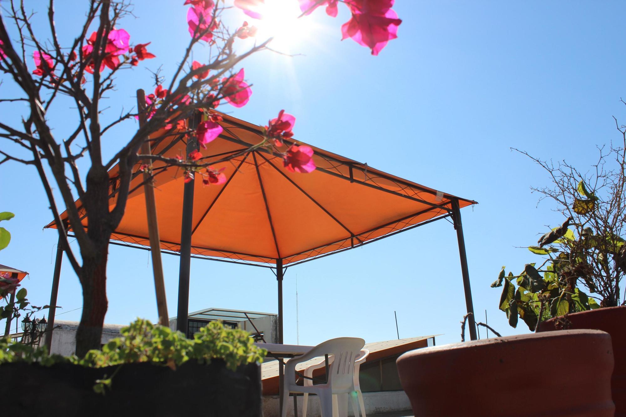 Hotel Oaxaca Magico Ngoại thất bức ảnh